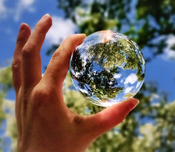 First Steps to an Eco-Friendly Lifestyle